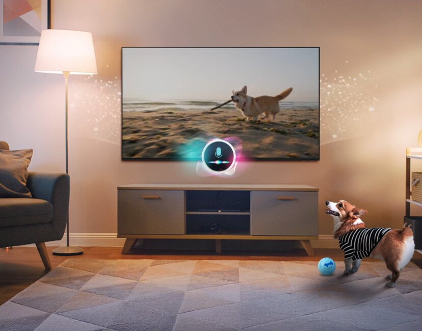 SAMSUNG TQ55S99H