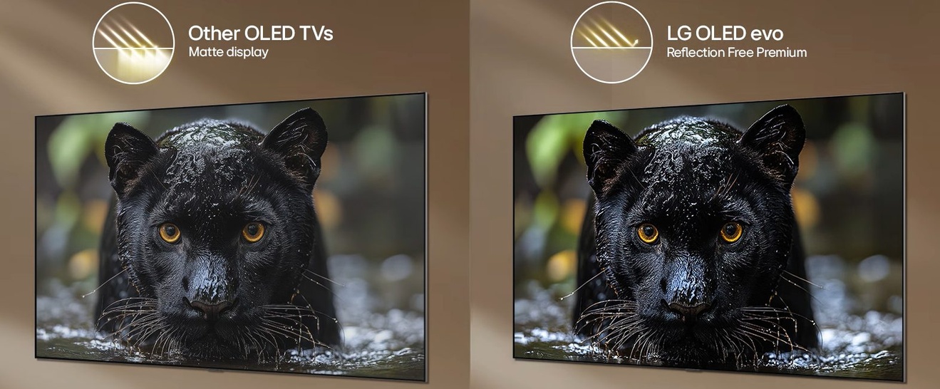 LG OLED55G66LS